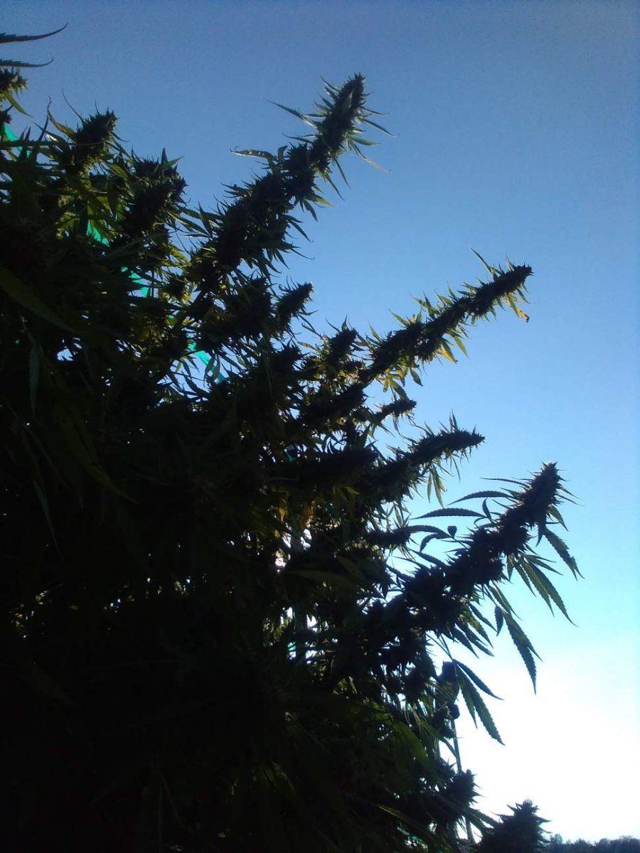 IMG 20240701 012527 01