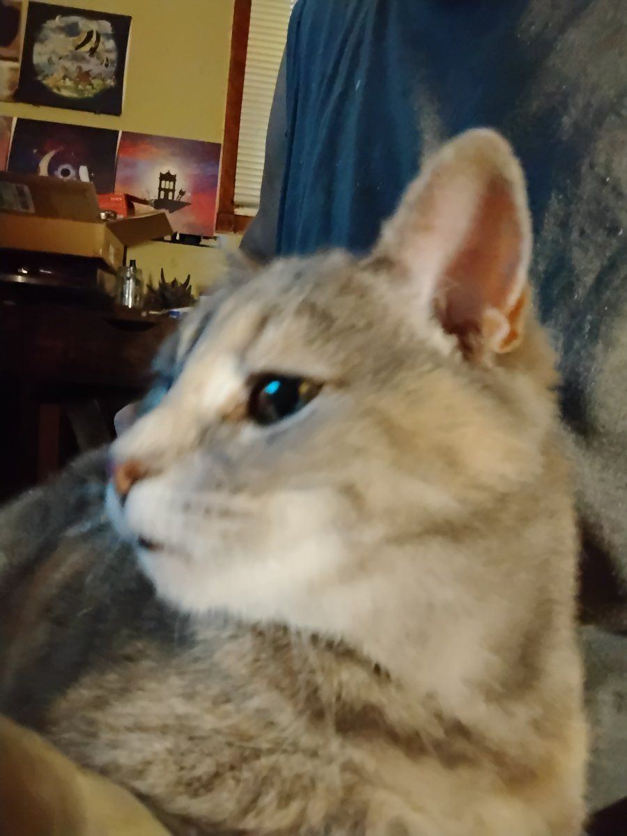 IMG 20240713 085438245