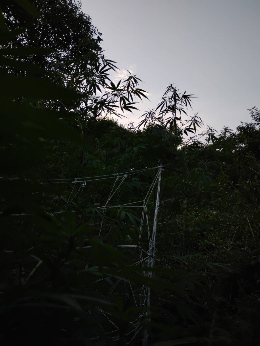 IMG 20240807 202017442 HDR