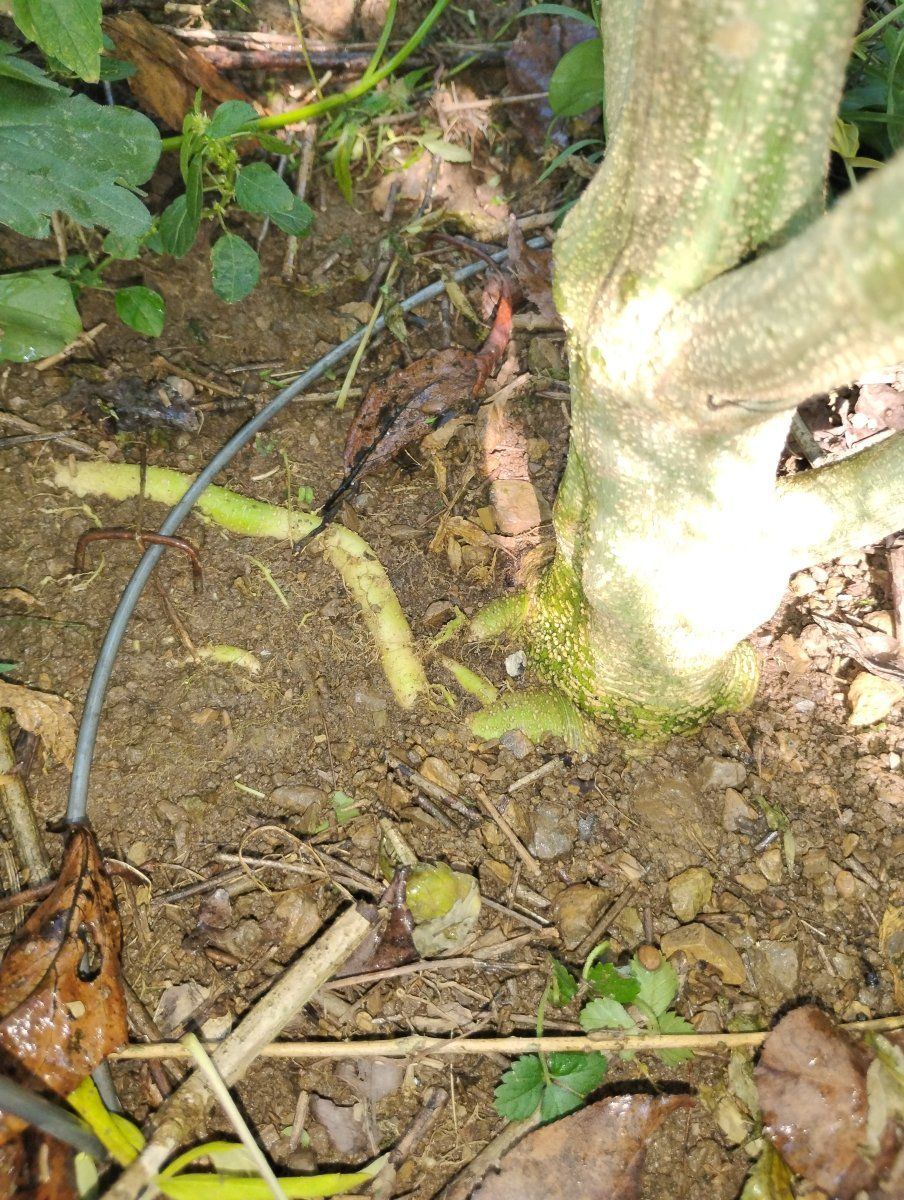 IMG 20240902 174757319