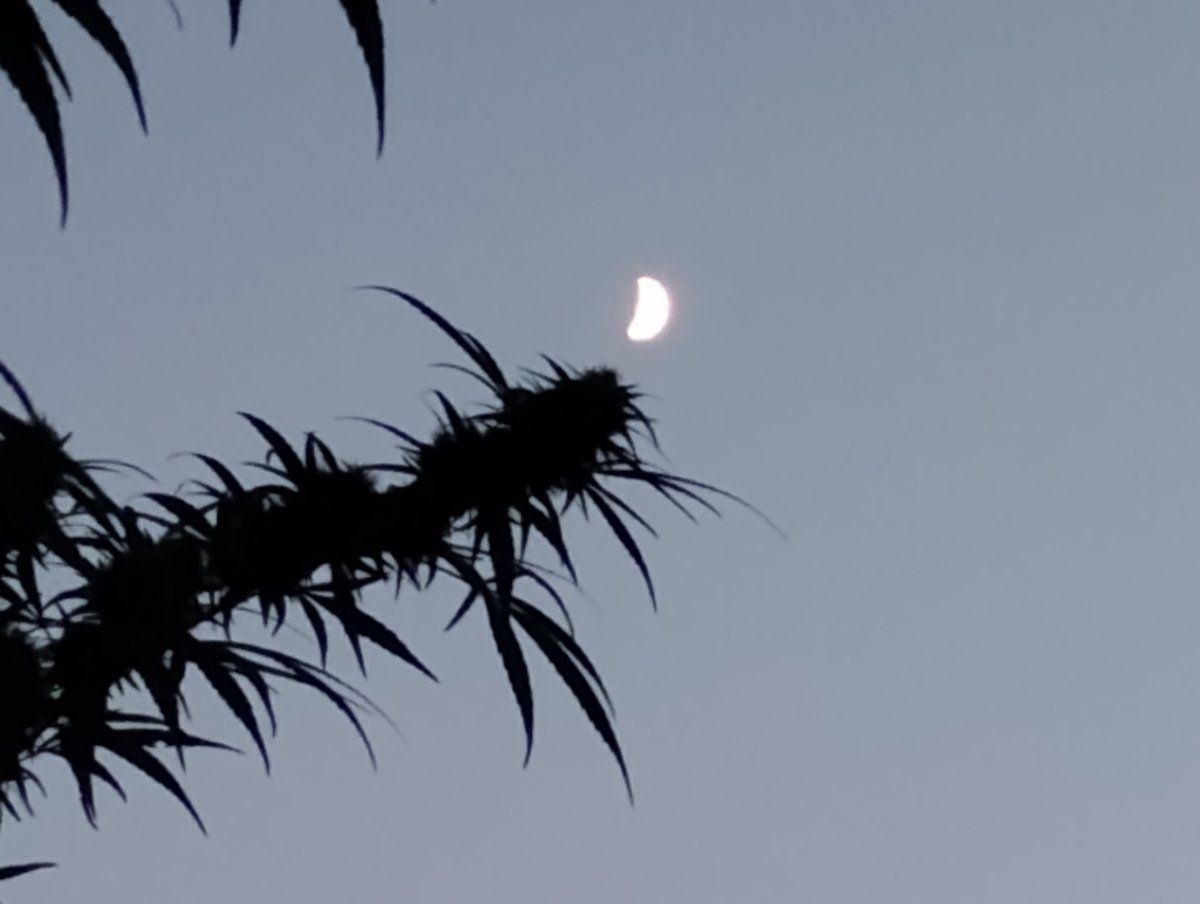 IMG 20240909 201257399