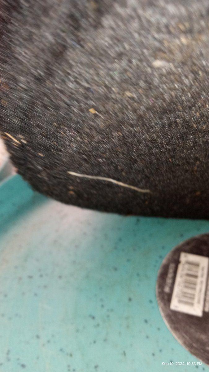 IMG 20240910 225319481