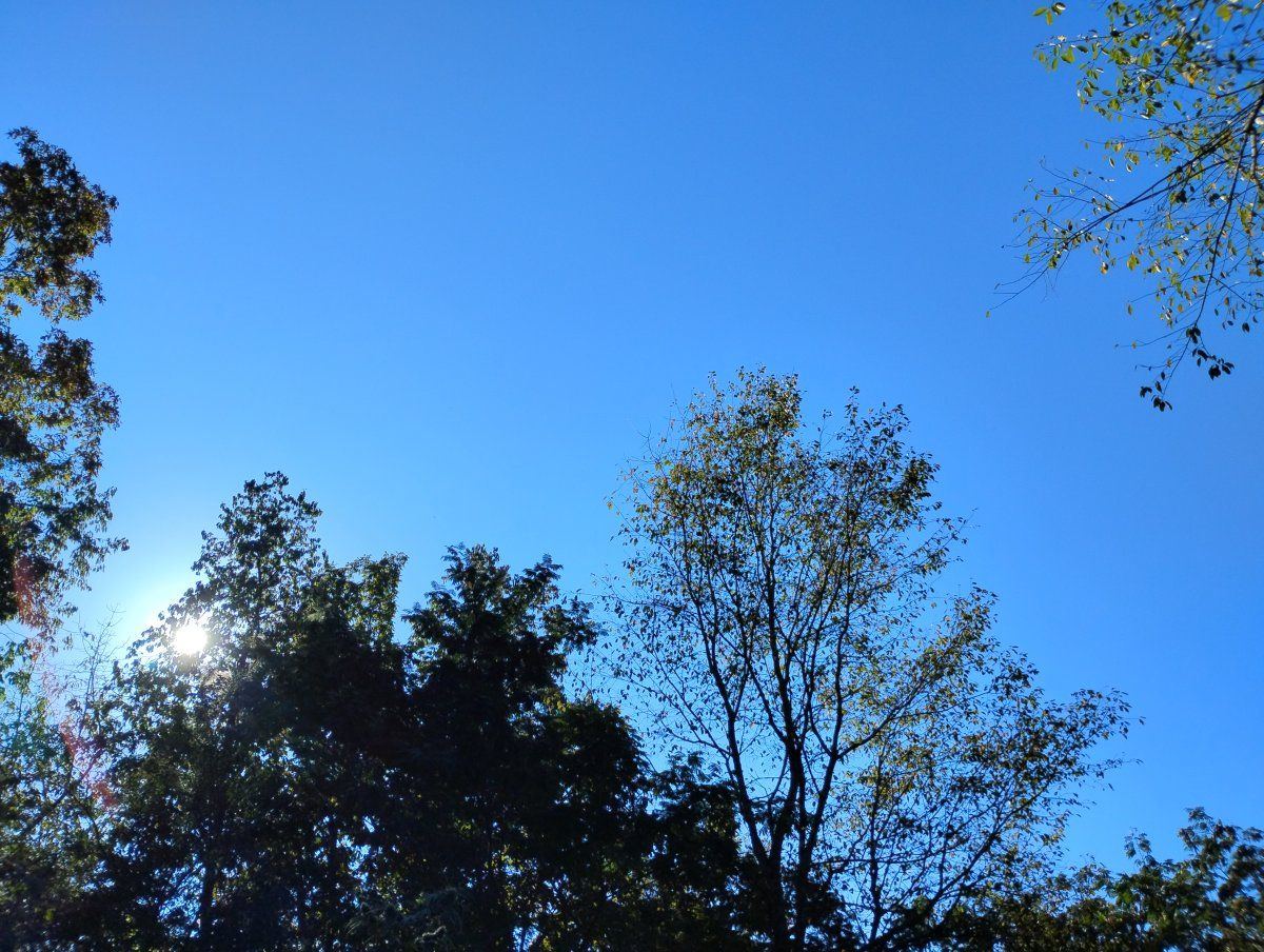 IMG 20240913 100652155