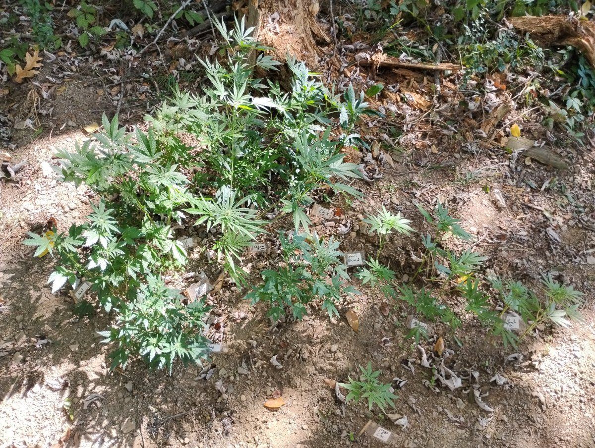 IMG 20240914 115740986
