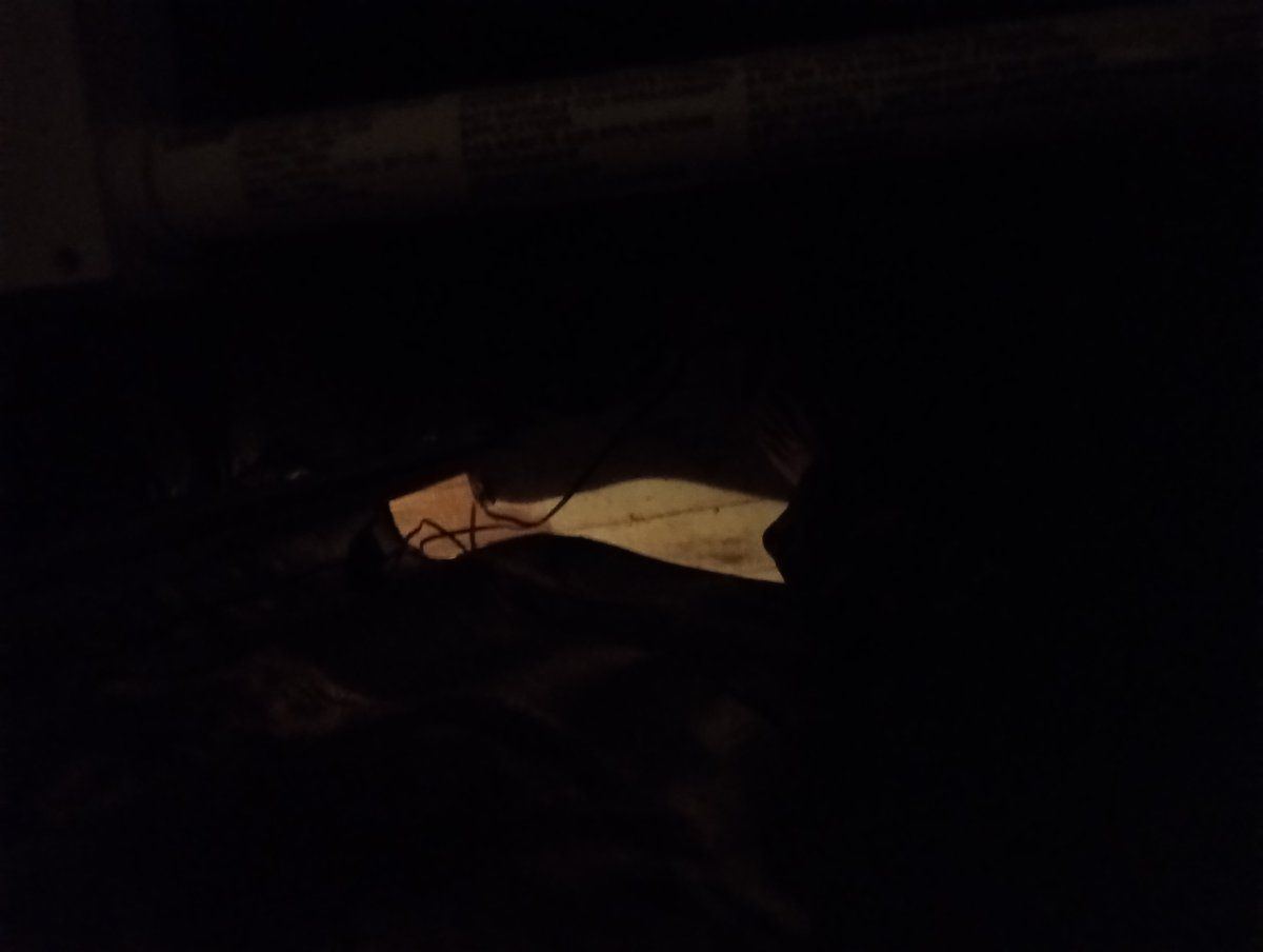 IMG 20241004 005259712