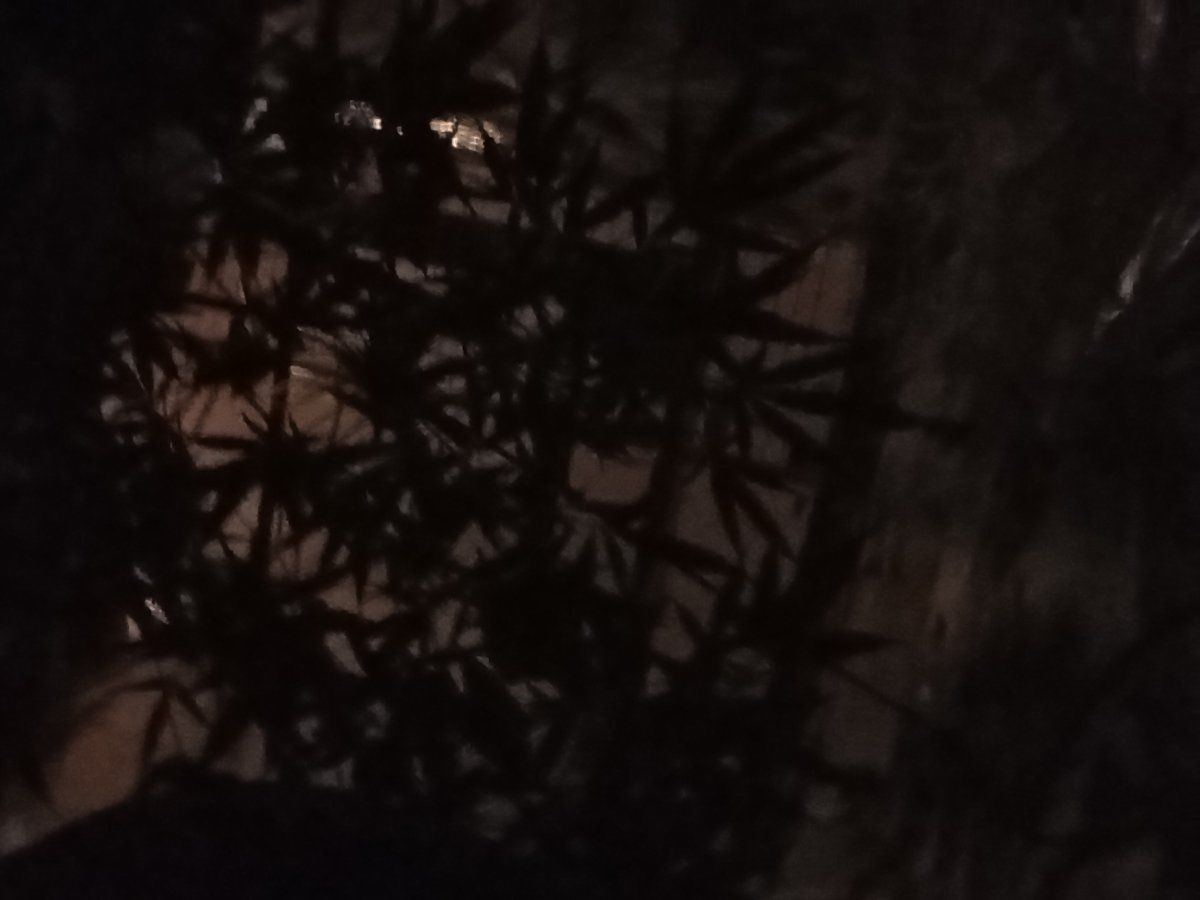 IMG 20241004 005318975