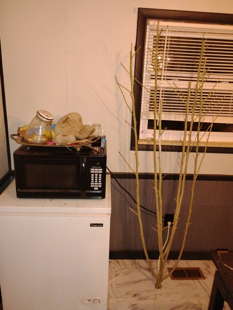 IMG 20241014 001920517