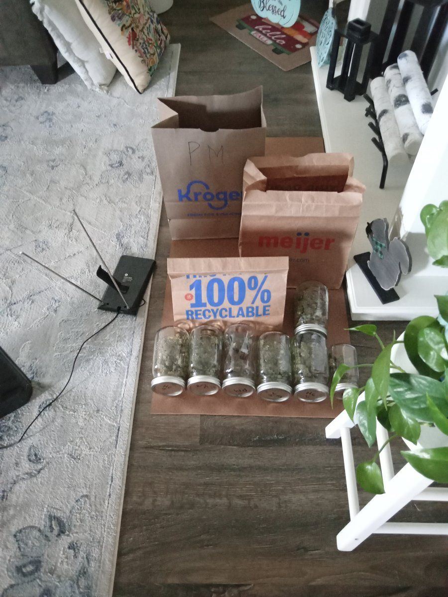 IMG 20241024 115225