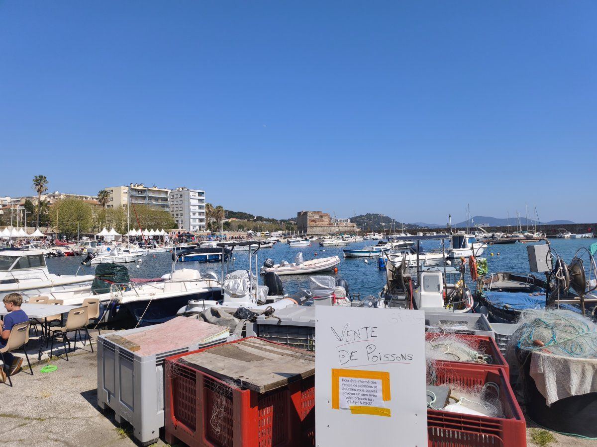 IMG 20250406 150957