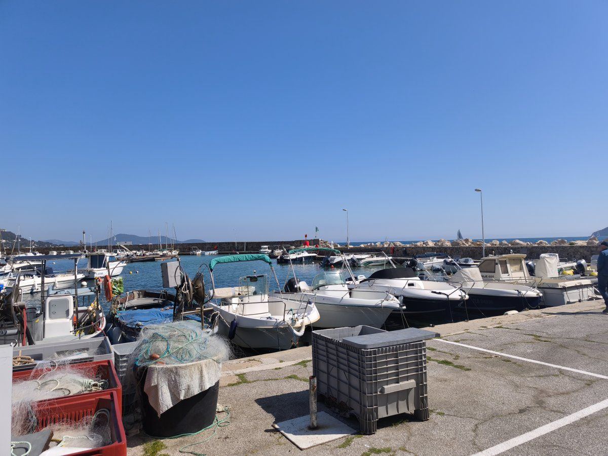 IMG 20250406 150959