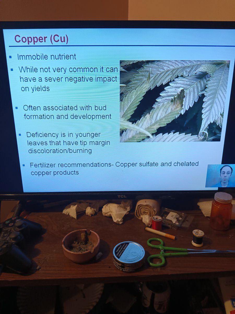 IMG 20250523 193234