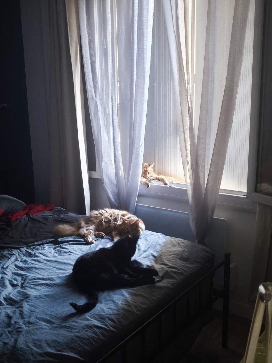 IMG 20250719 204830