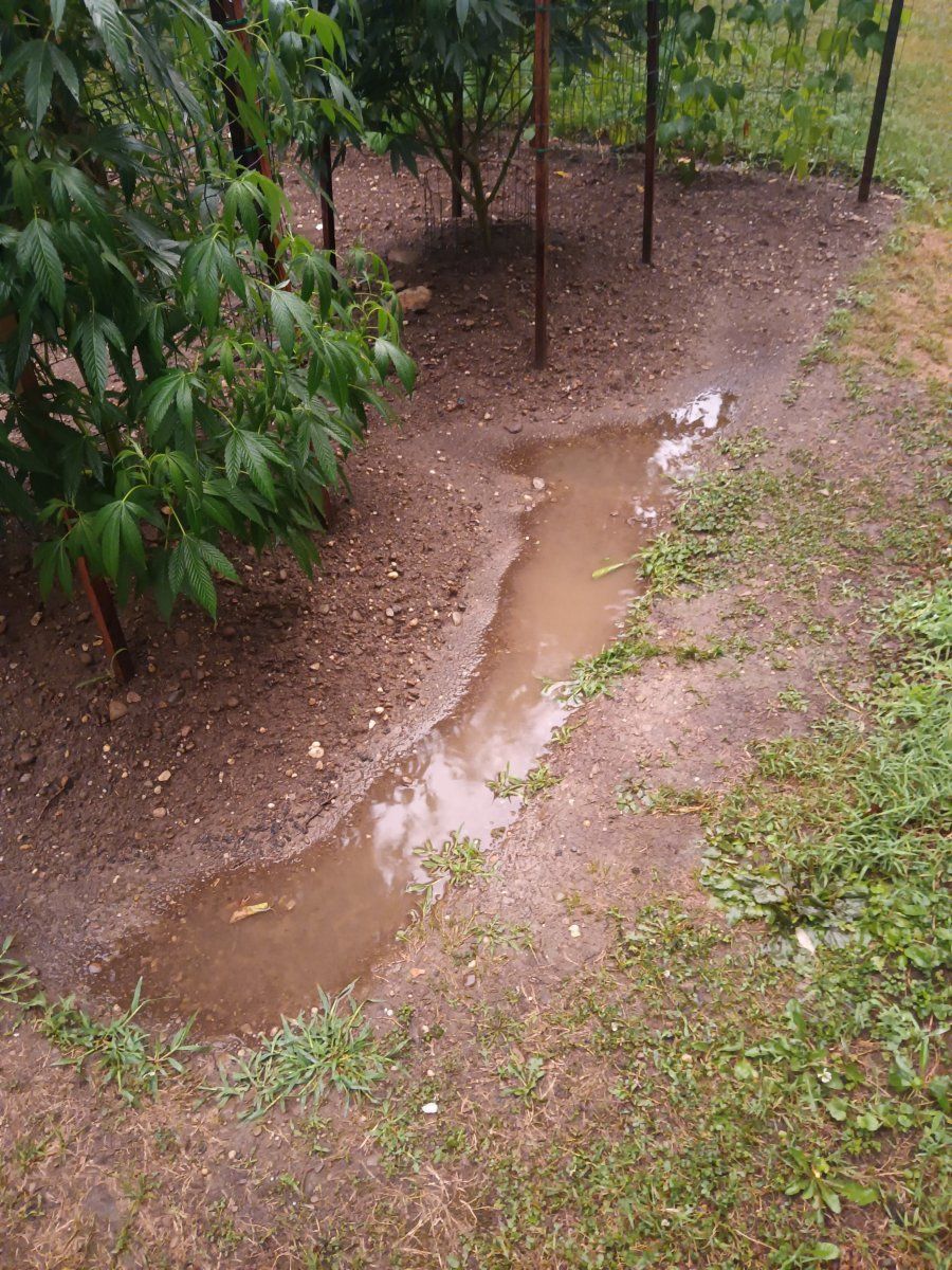 IMG 20250728 204141