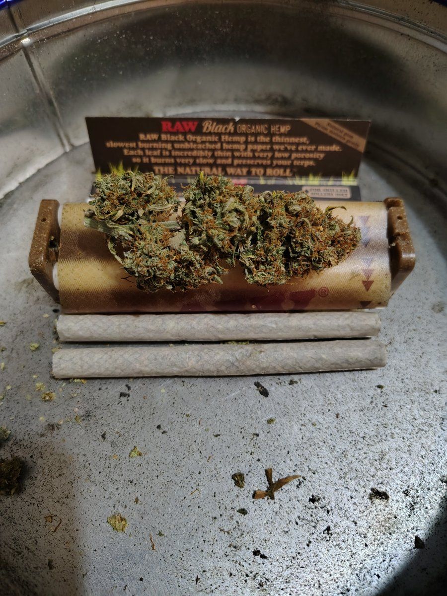 IMG 20260218 094300007 HDR