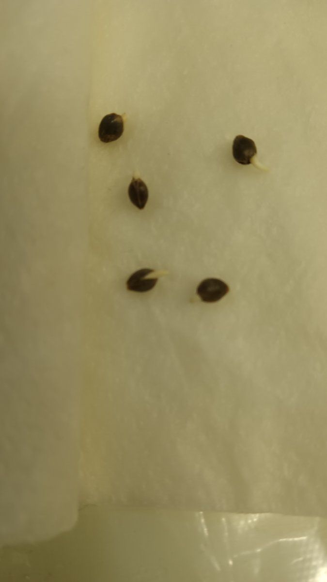 IMG 20260306 172314