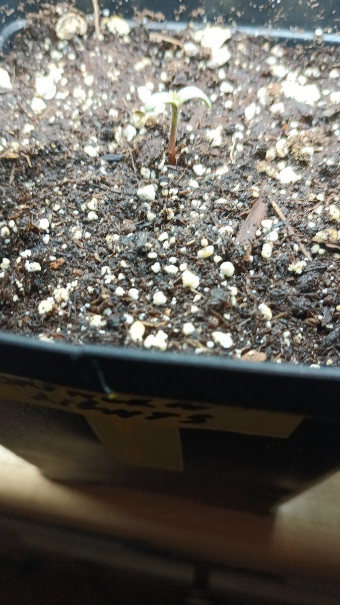 IMG 20260320 150745