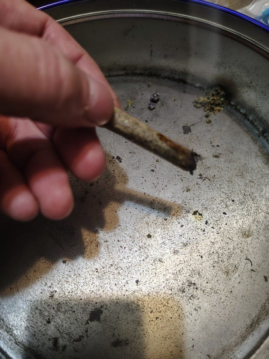 IMG 20260323 102731046 HDR
