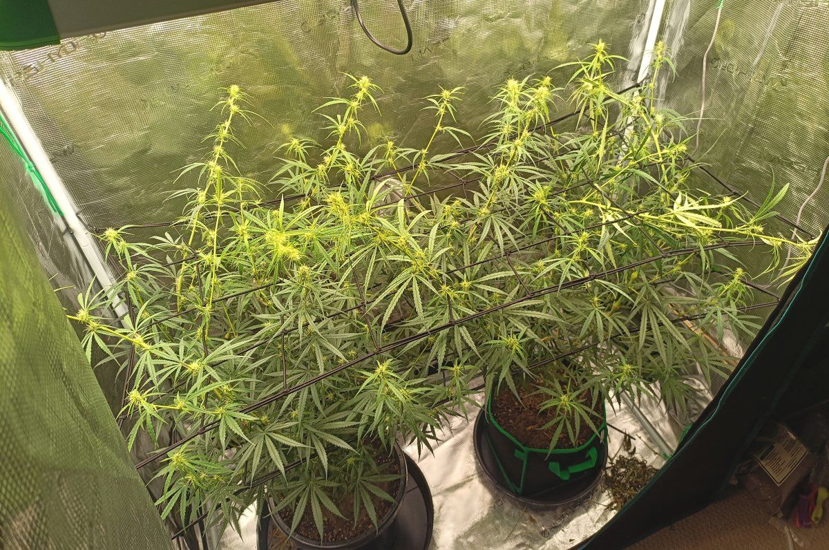 IMG 20260329 122718