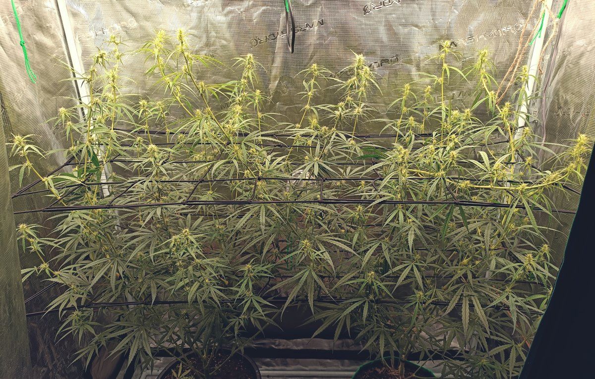 IMG 20260331 115638