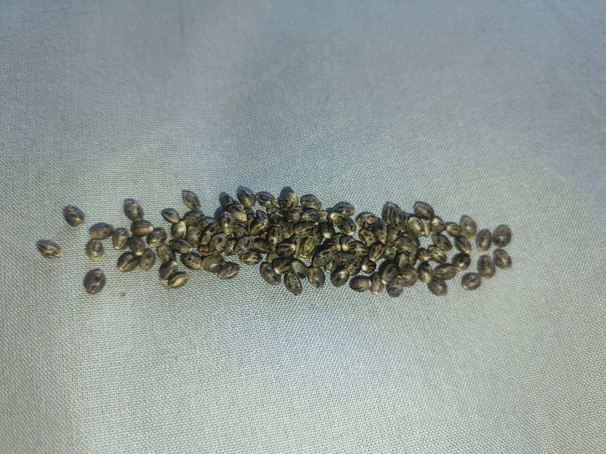 IMG 20260501 144143
