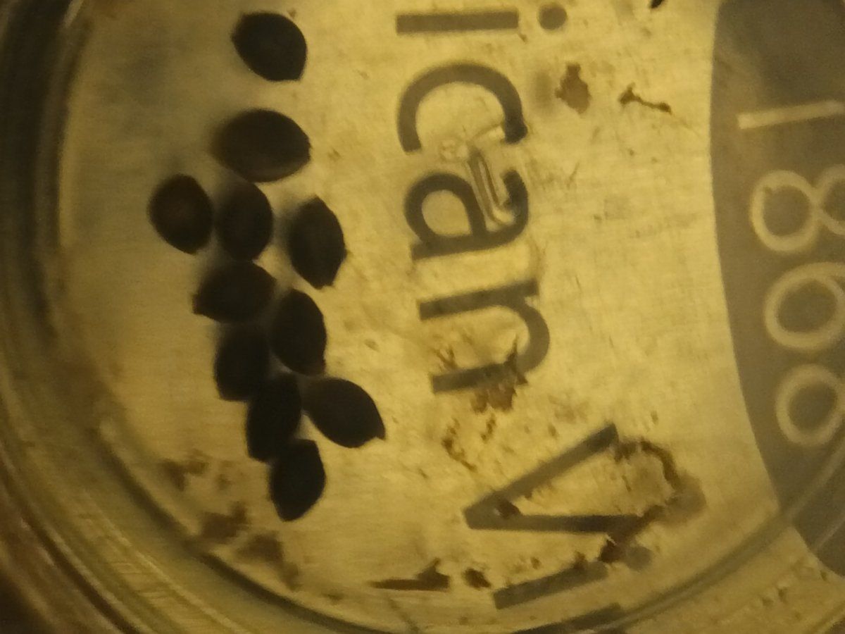 IMG 20260506 182456142