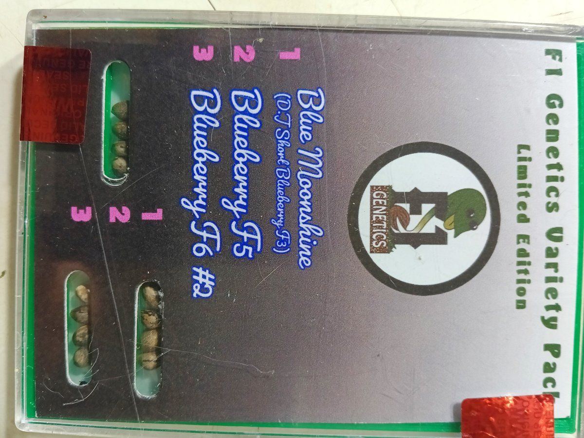 IMG 20260512 050855171