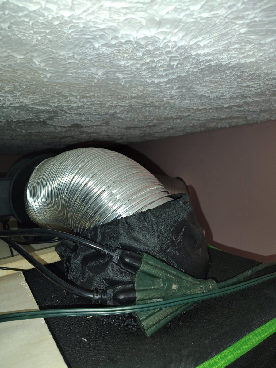 IMG 20260517 072202091