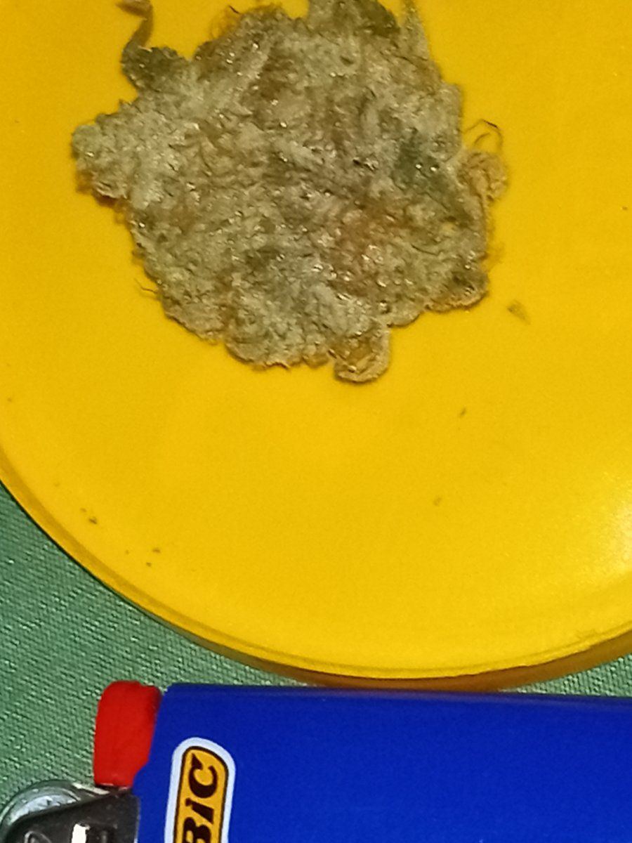 IMG 20260517 145533785