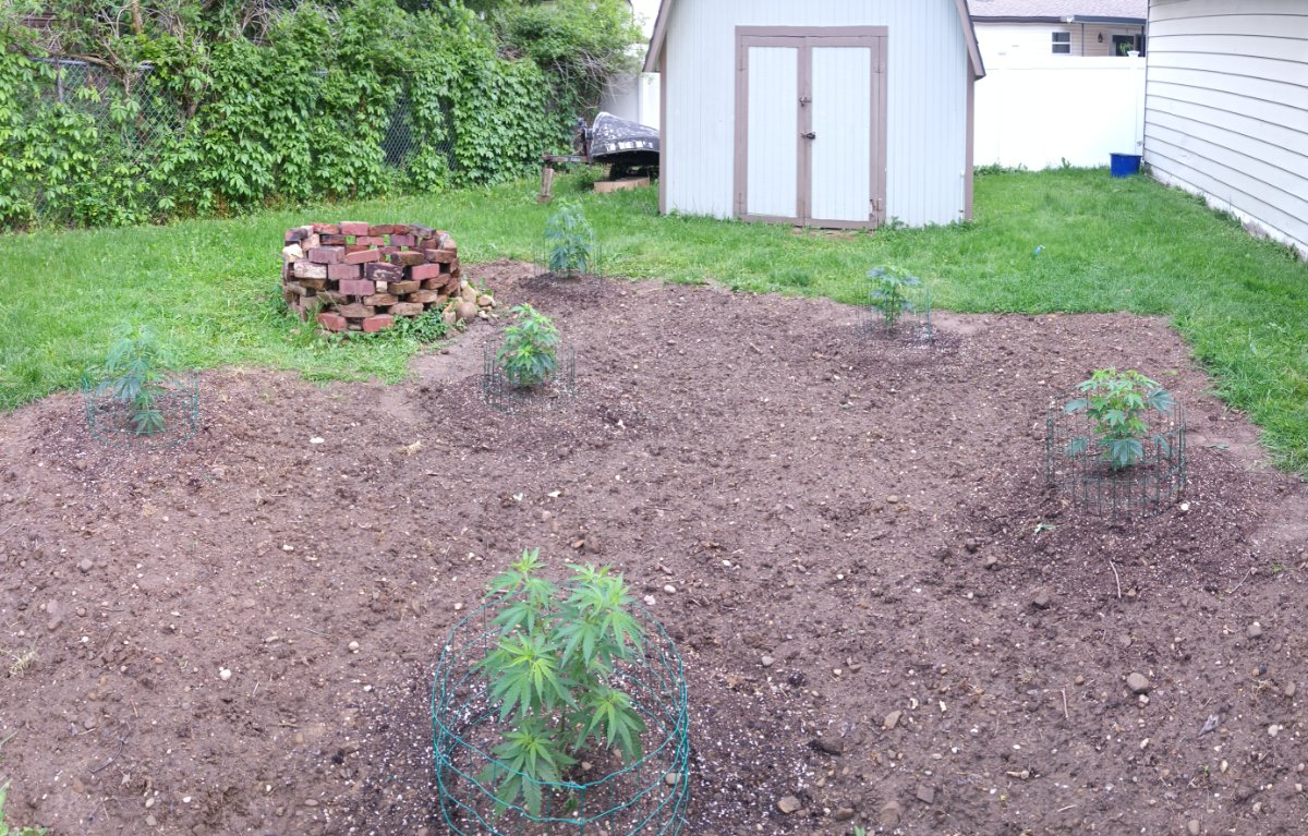 IMG 20260523 191139