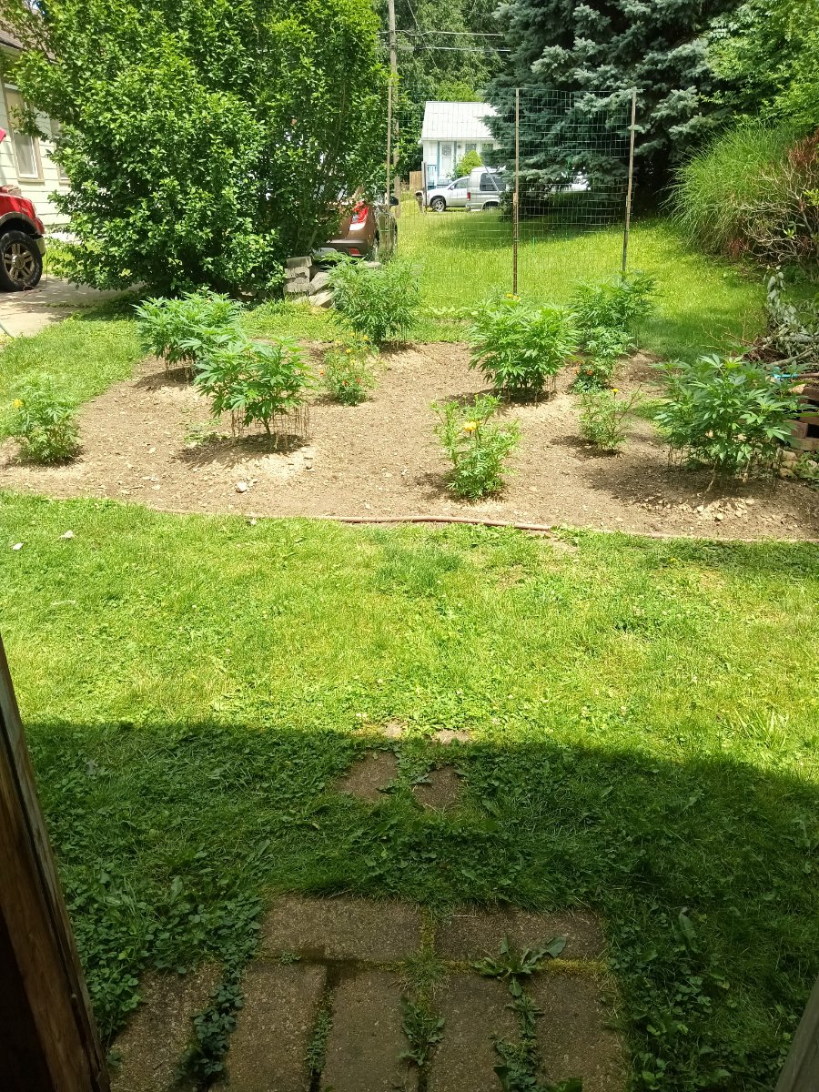 IMG 20260621 121810