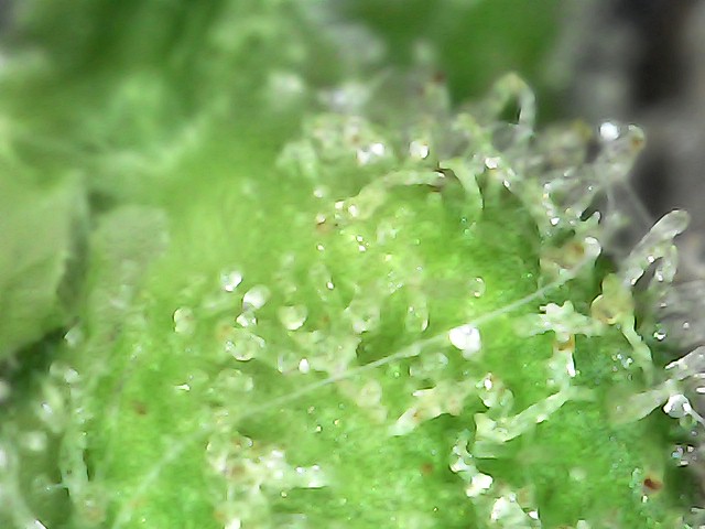 IMG 20260708 145321