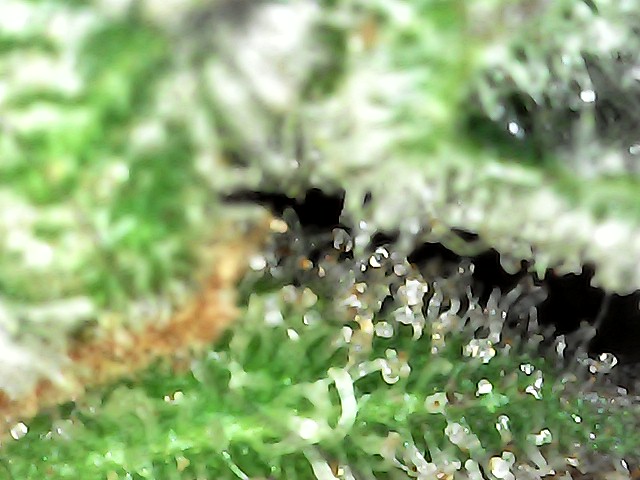 IMG 20260708 145517