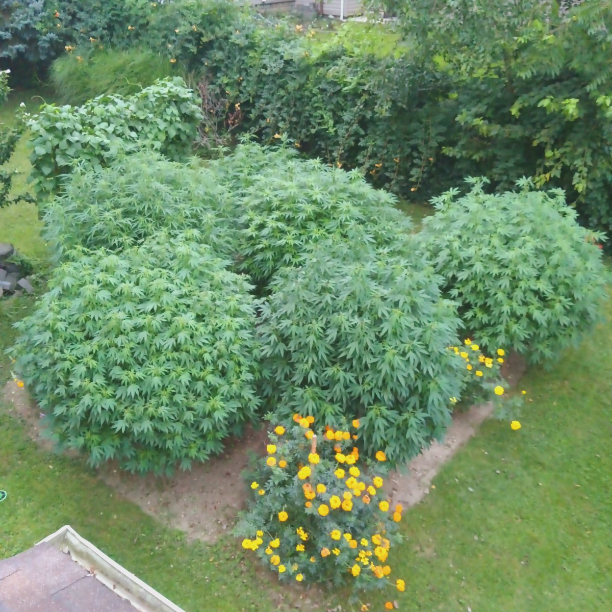 IMG 20260819 201015