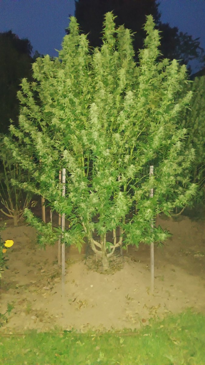 IMG 20260930 193556