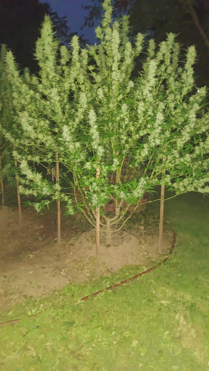 IMG 20260930 193625