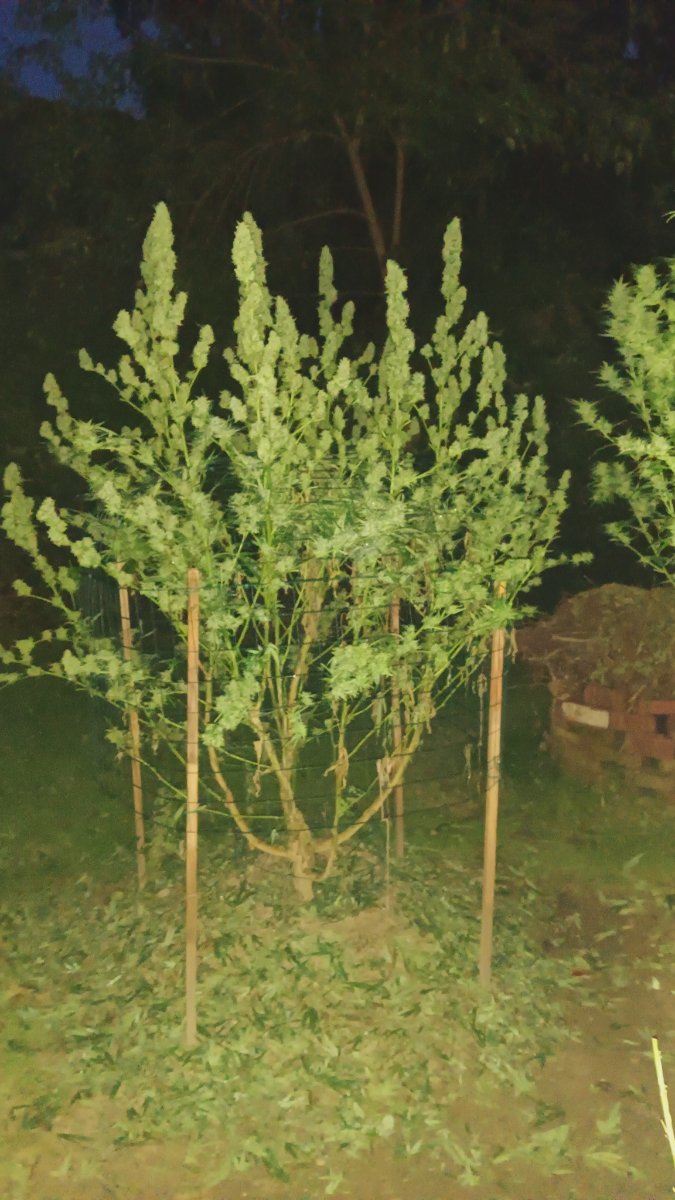 IMG 20260930 193710