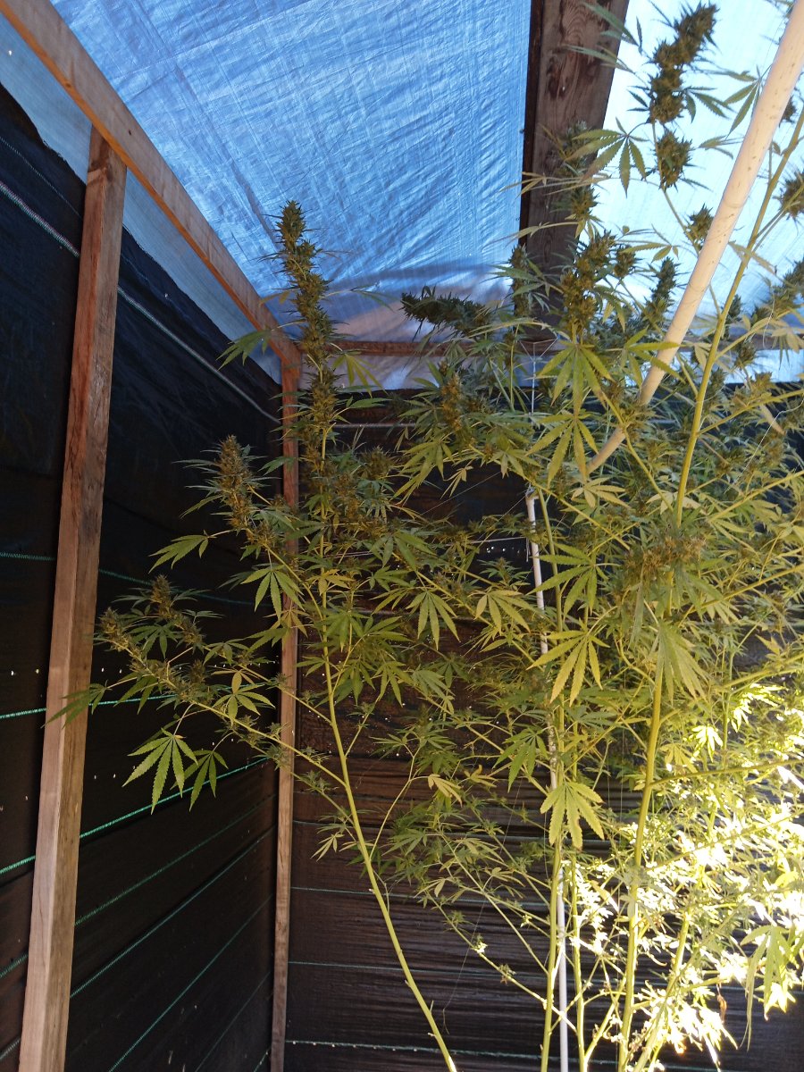 IMG 20261018 111032
