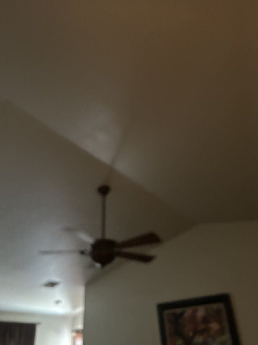 IMG 2055