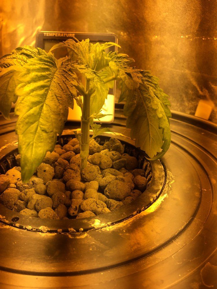 IMG 2315