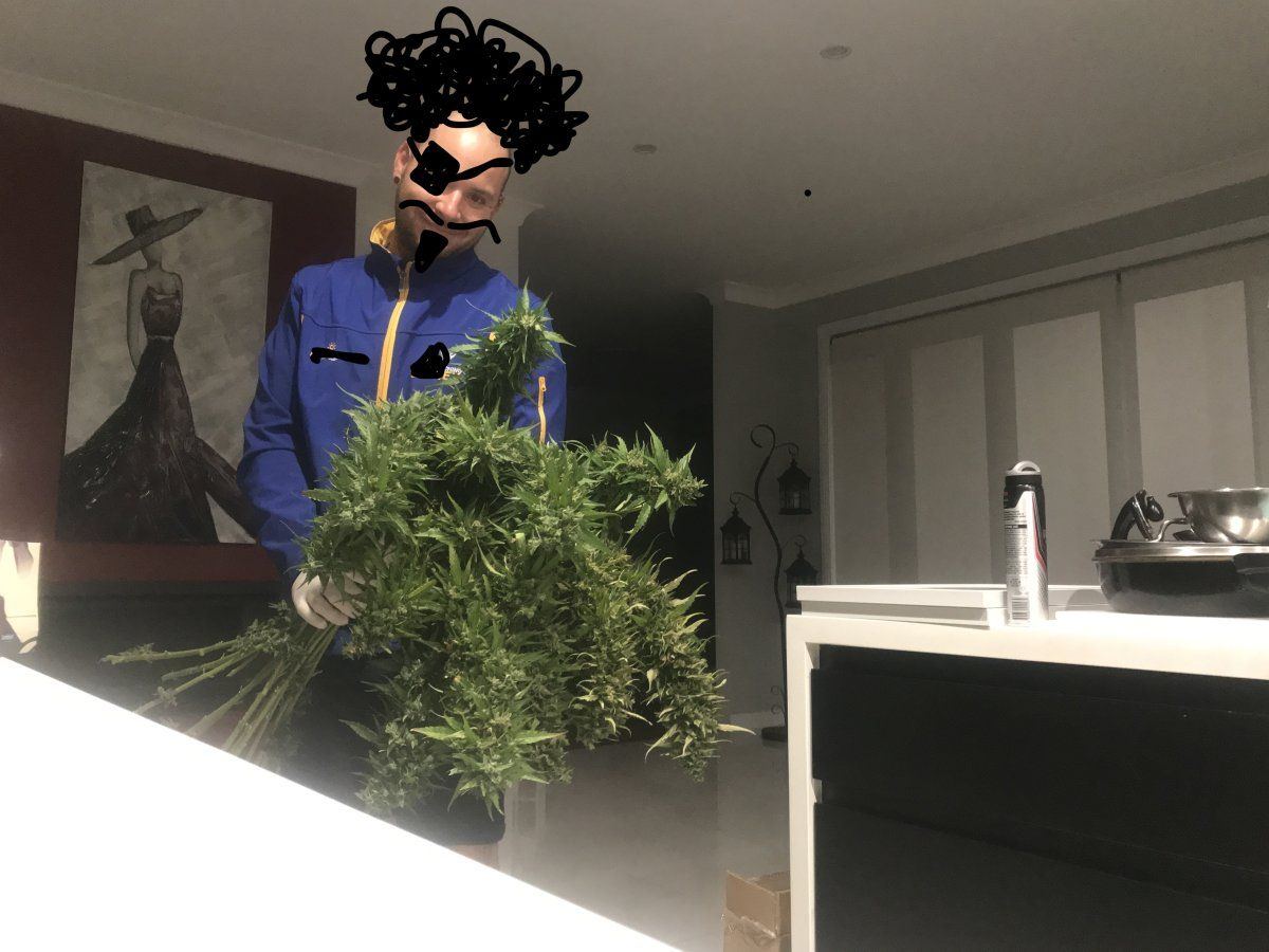 IMG 2548