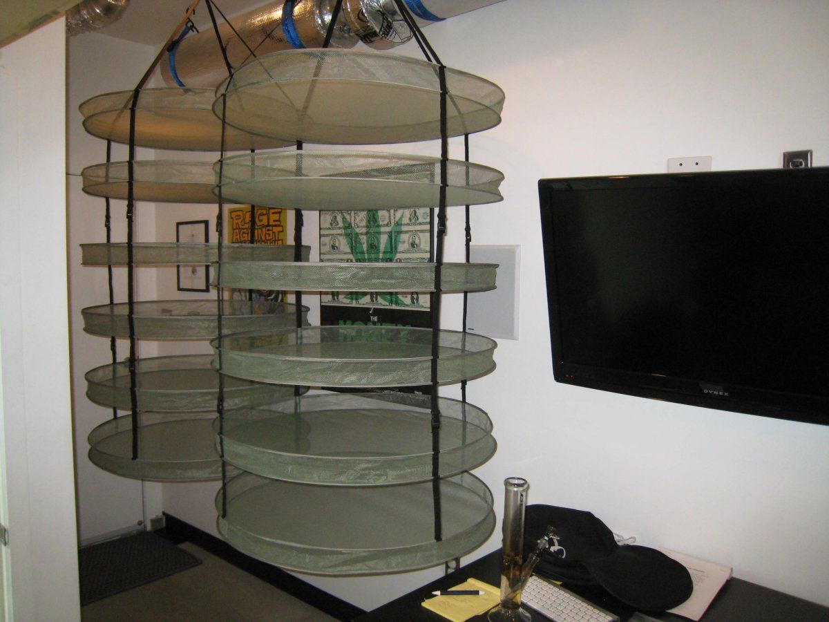 IMG 2552