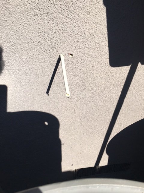 IMG 2621