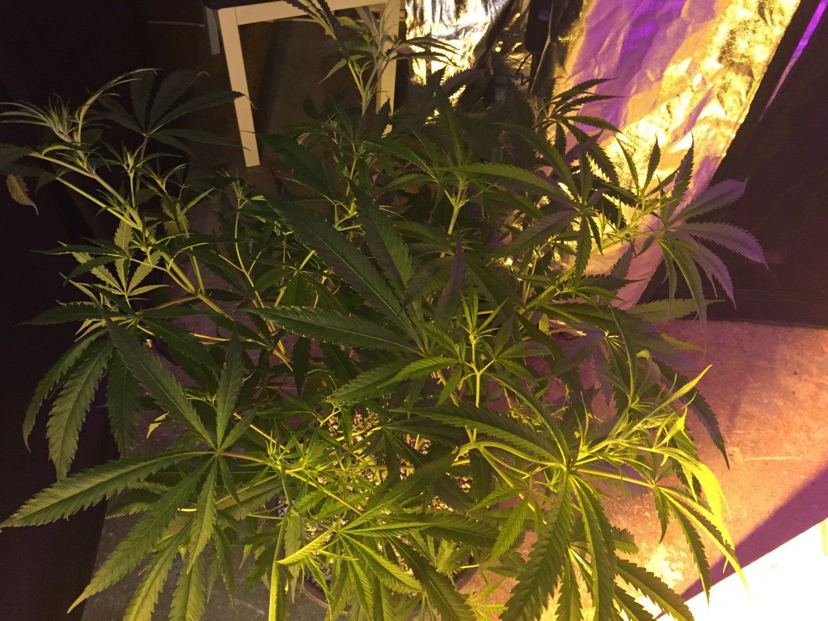 IMG 2879