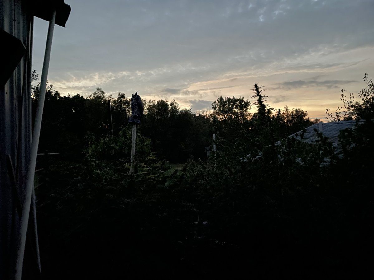 IMG 3381