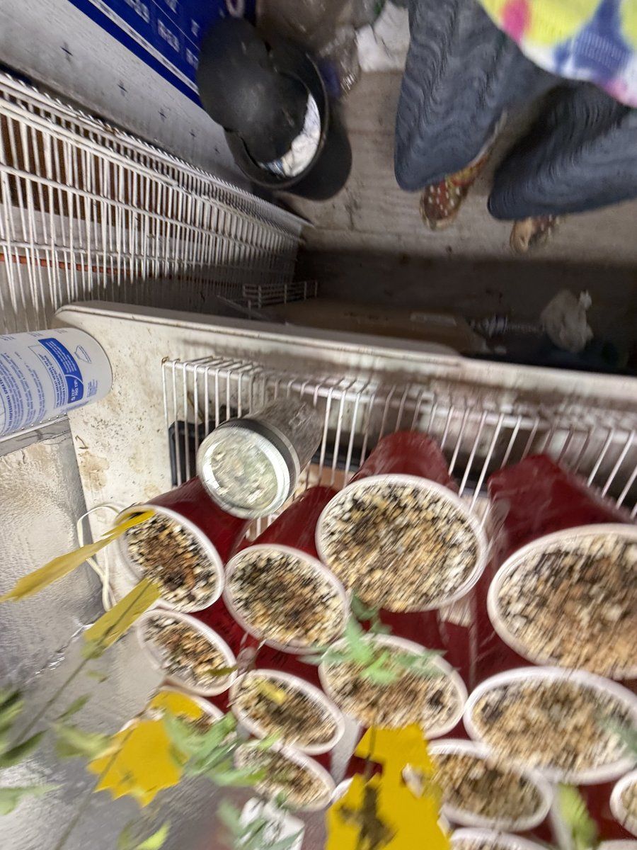 IMG 3405