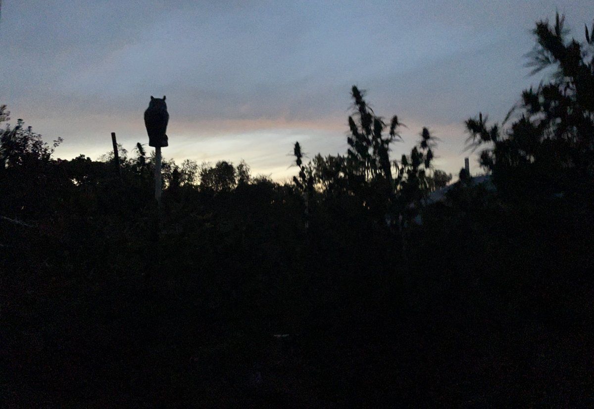 IMG 3447