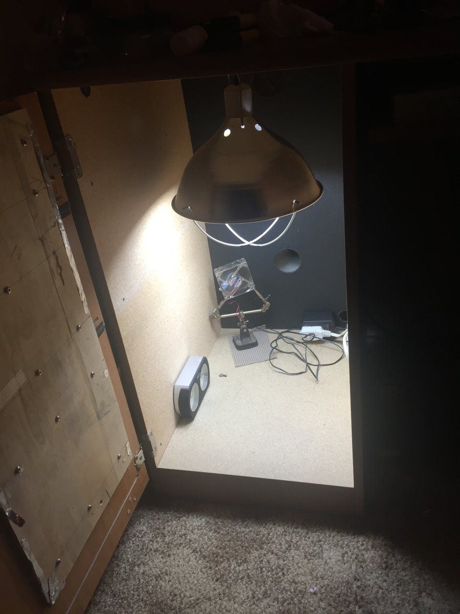 IMG 3468