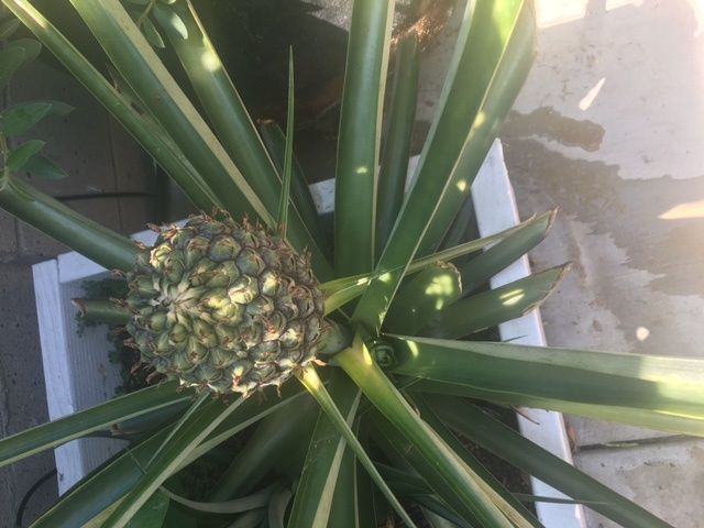 IMG 3473