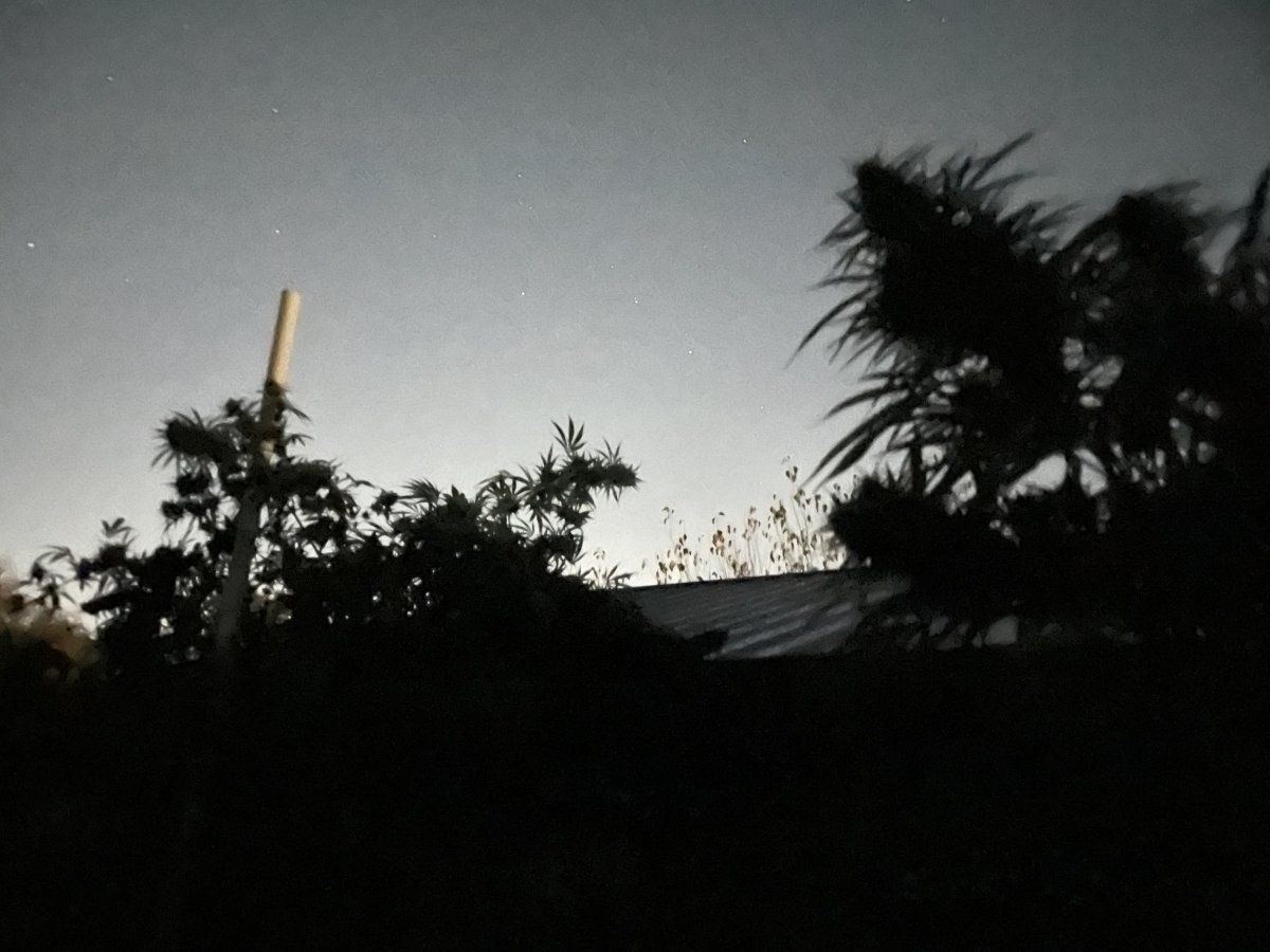 IMG 3515