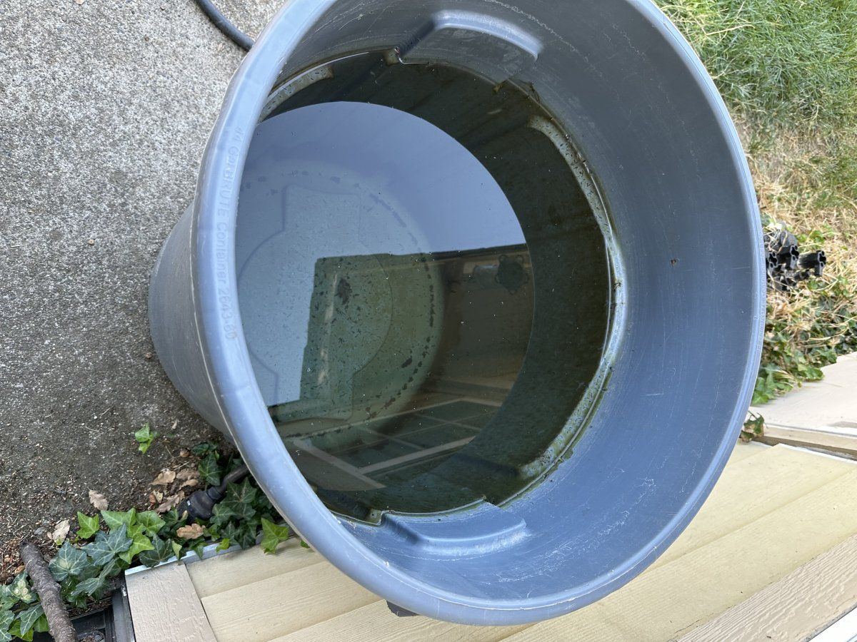 IMG 3523